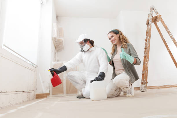 Mold Remediation for Vacation Homes in Orlinda, TN